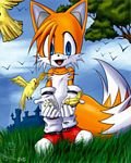 pic for Tails and bird